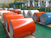 colour coated roll 02